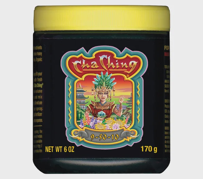 2412 Cha Ching 6 oz