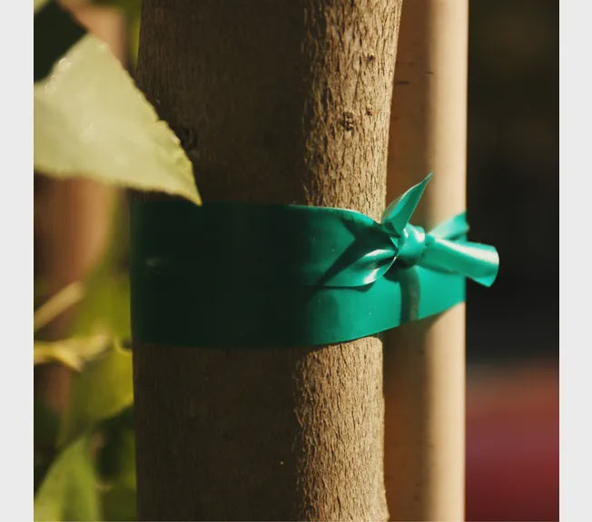 3552 Green Plant Tie 1/2" x 150'