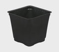 4034 Square Plastic Pot Black 3.5 in