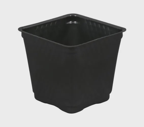 4034 Square Plastic Pot Black 3.5 in