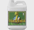5726 Ancient Earth 10L - Advanced N