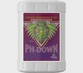 6133 Advanced PH-Down 23L an