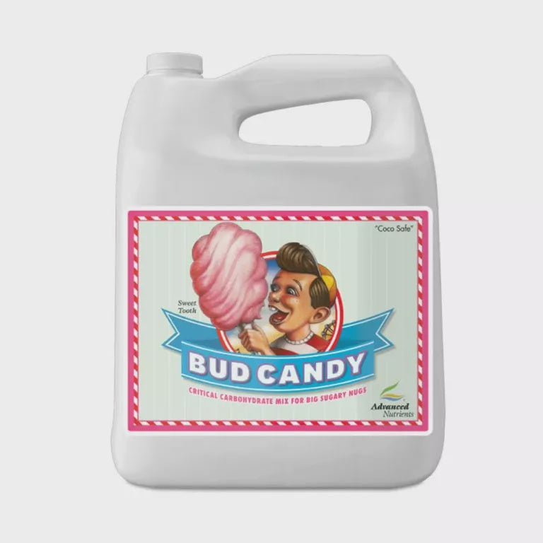 595 Bud Candy 4L