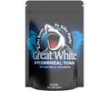 2169 Great White 32