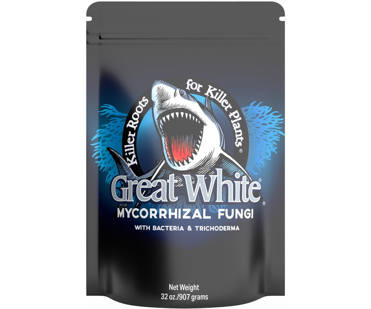 2169 Great White 32