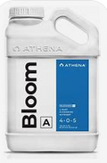 15330 Athena Bloom A 1 Gallon