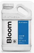 15332 Athena Bloom B 1 Gallon